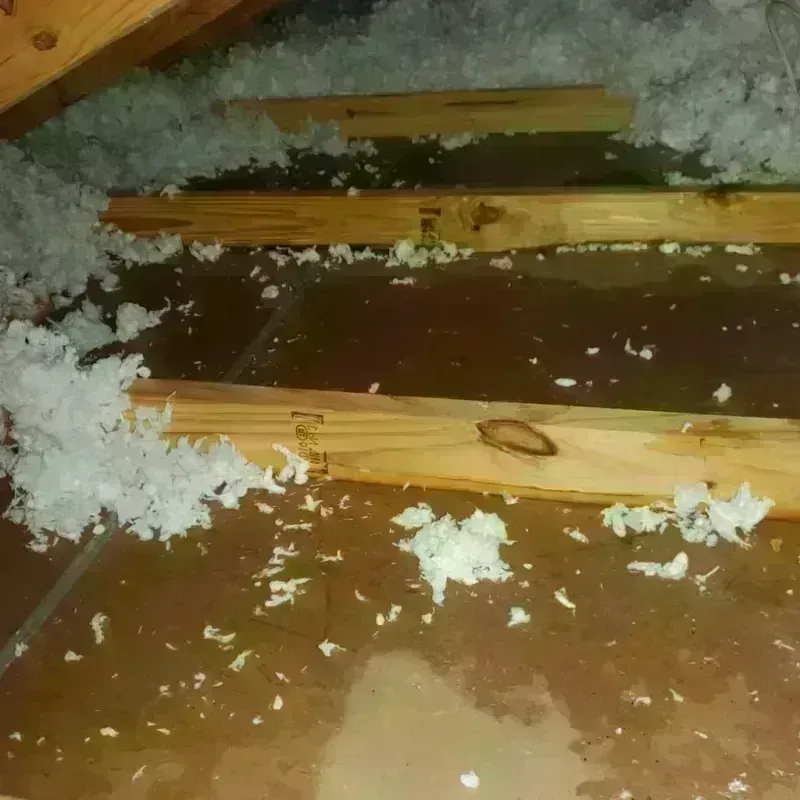 Attic Water Damage in Childress County, TX